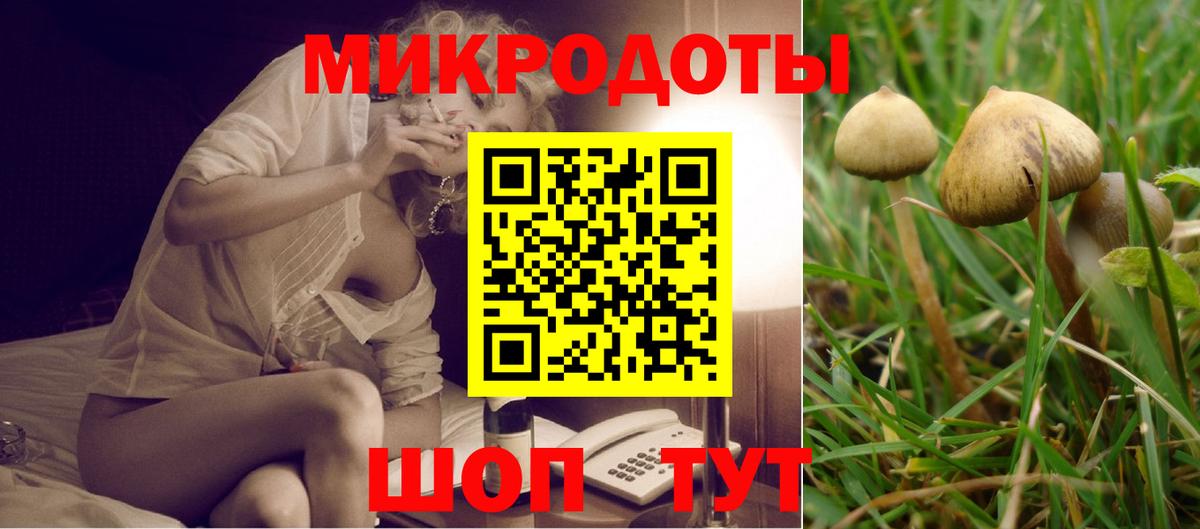 Ноябрьск  что такое   Галлюциногенные грибы Psilocybine cubensis  Вход с VPN  Галлюциногенные грибы мицелий 
